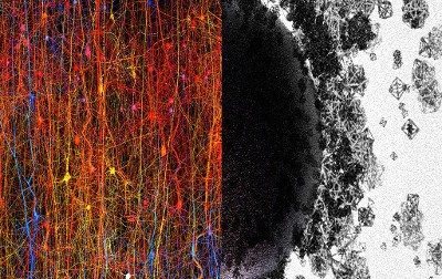 Nerdices.com.br Descoberta científica aponta que o cérebro humano pode operar em 11 dimensões biologia ciência curiosidades notícias